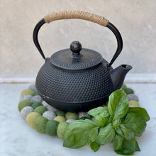 Load image into Gallery viewer, Felt Ball Trivet - Grass