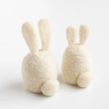 Load image into Gallery viewer, Bunny Friends Mini Needle Felting Kit
