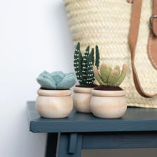 Load image into Gallery viewer, Succulents Needle Felting Kit