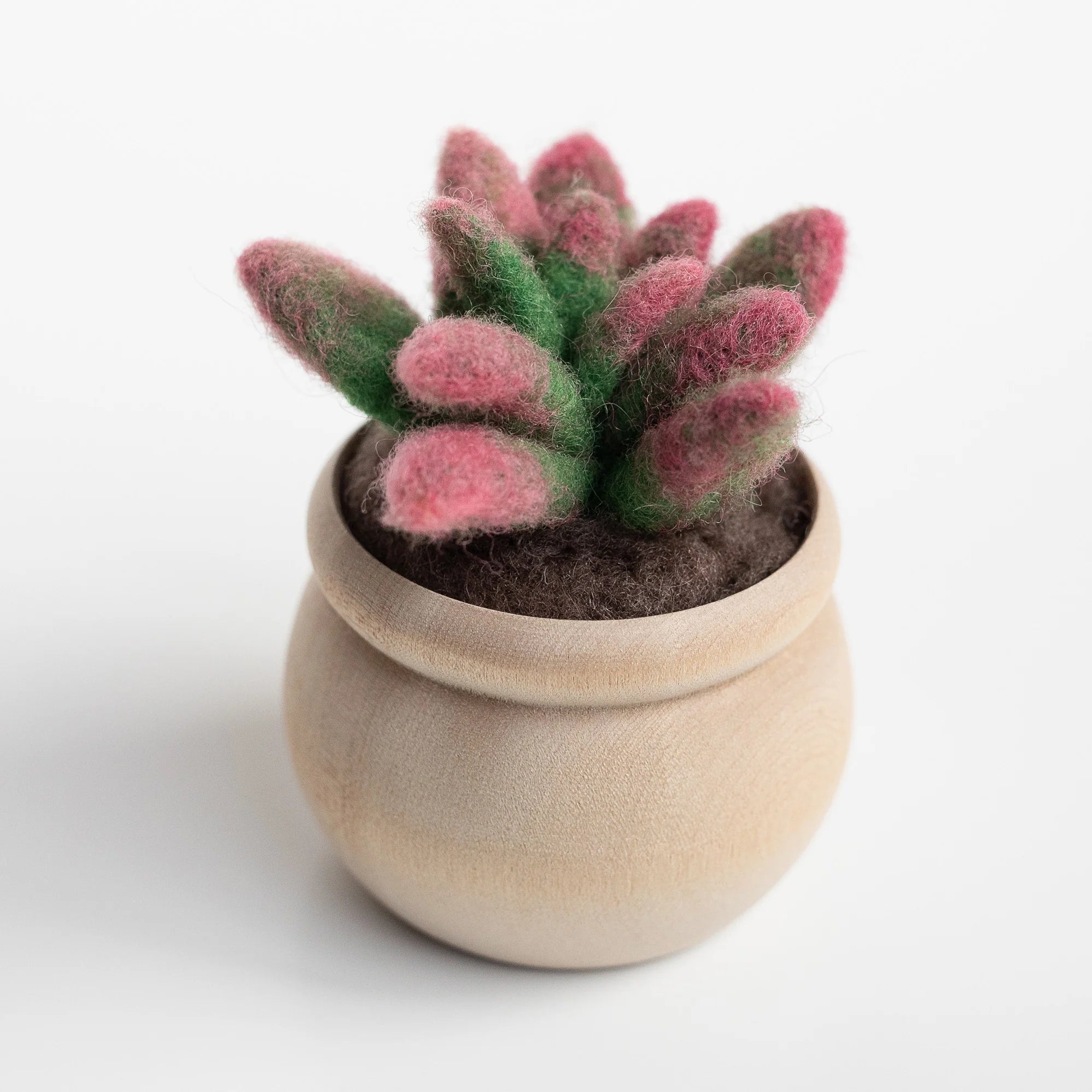 felt succulents kit Sunrise Succulent Mini Needle Felting Kit