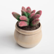 Load image into Gallery viewer, Sunrise Succulent Mini Needle Felting Kit