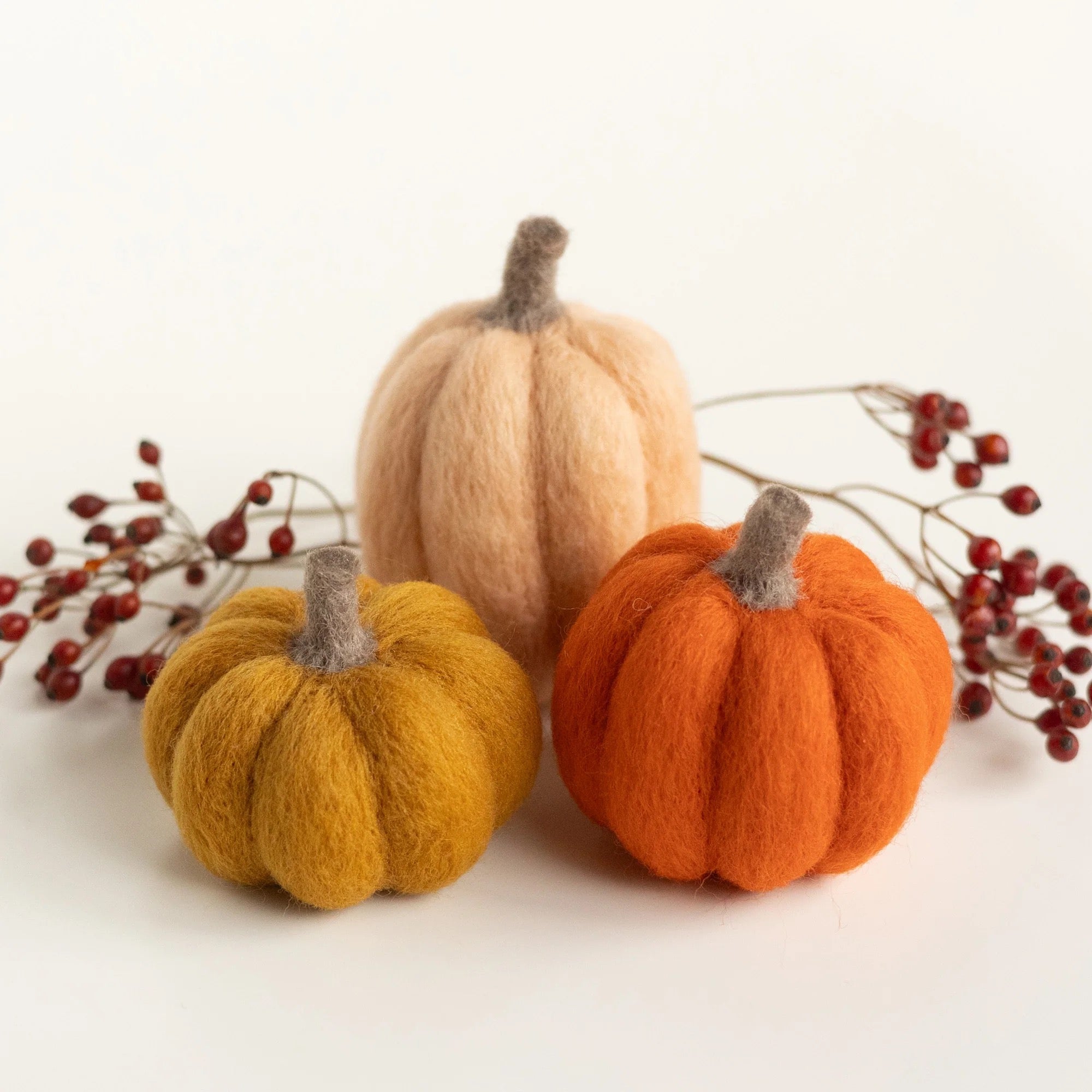 Pumpkin Trio Mini Needle Felting Kit