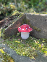 Load image into Gallery viewer, Felted Mushroom Soap