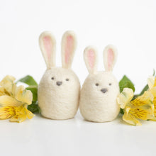 Load image into Gallery viewer, Bunny Friends Mini Needle Felting Kit