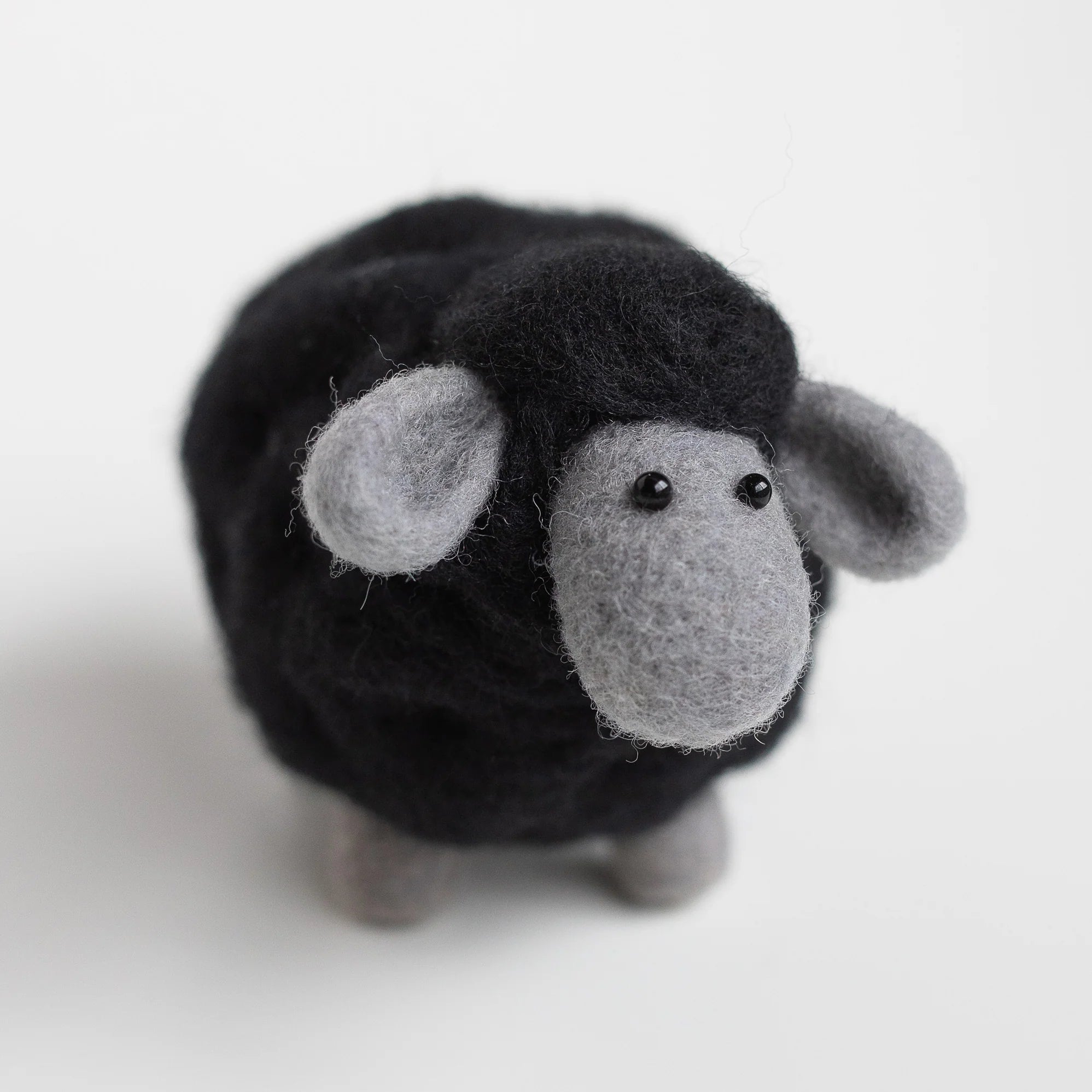 Black Sheep Mini Needle Felting Kit