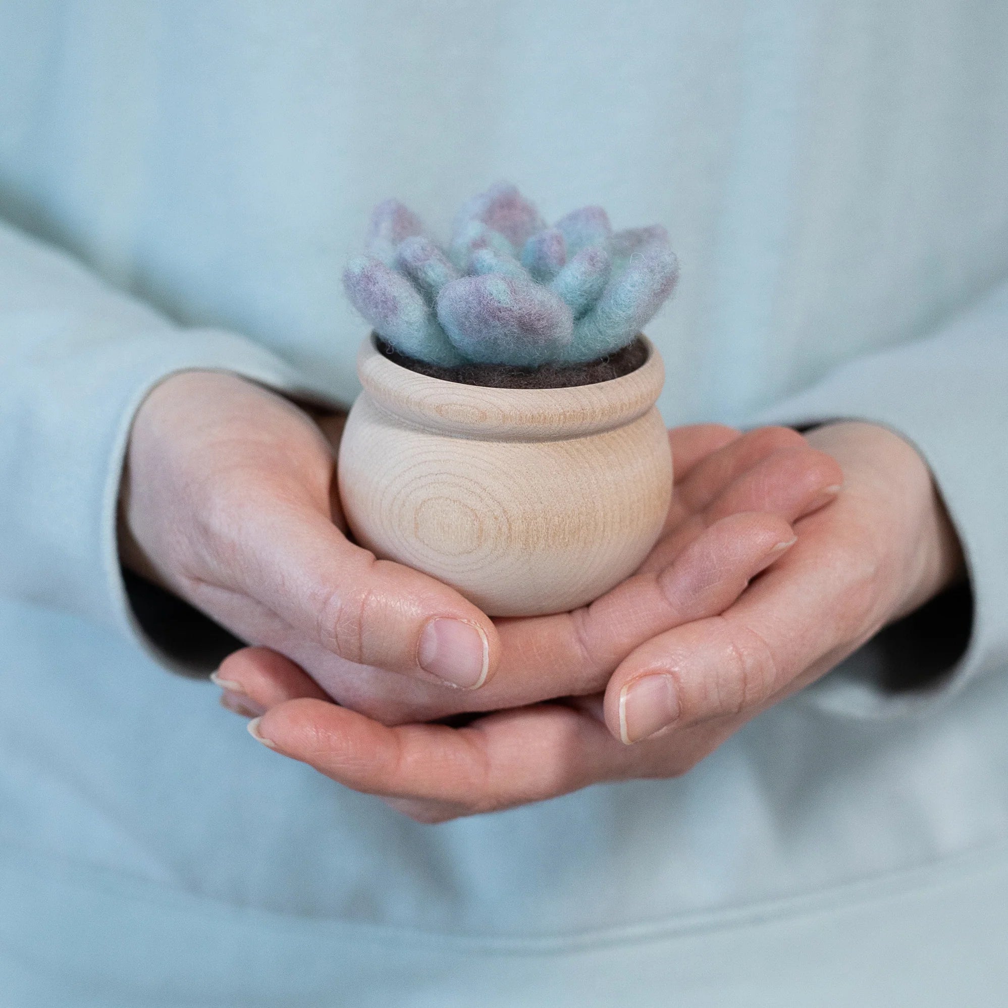 needle felted succulents tutorial Ghost plant Succulent Mini Needle Felting Kit – Janet Marie Felted Goods