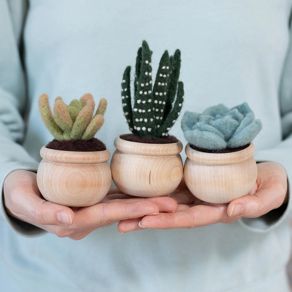 Succulents Needle Felting Kit