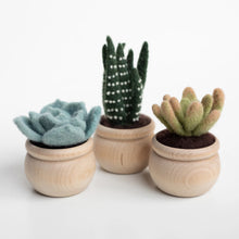 Load image into Gallery viewer, Succulents Needle Felting Kit