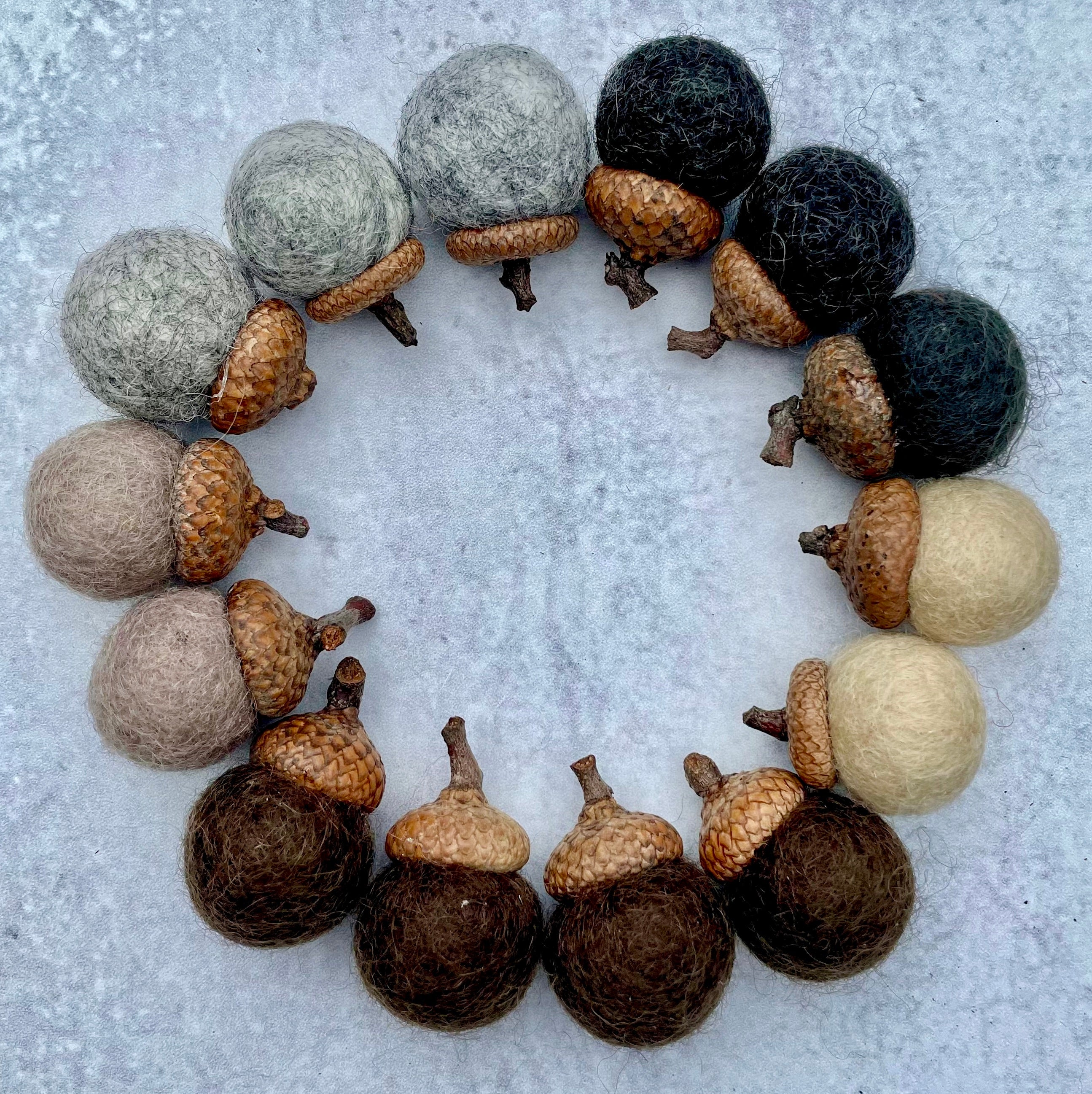 Felted Acorn Set of 6