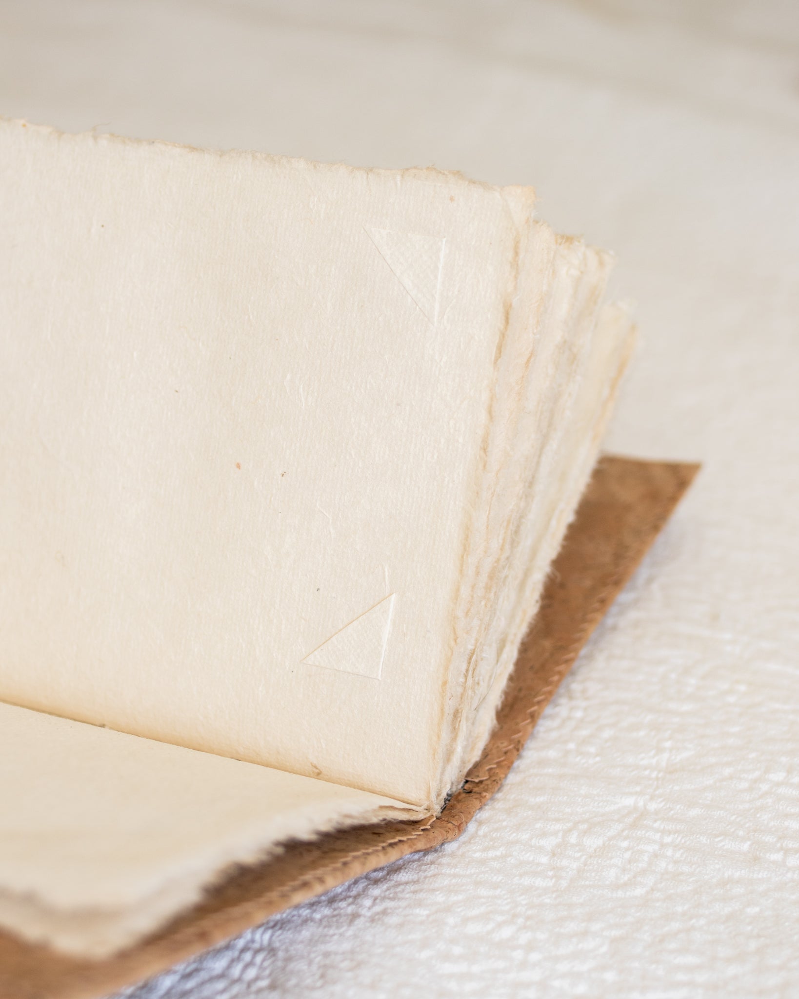 Botanical Dyed Photo Memory Album and Journal